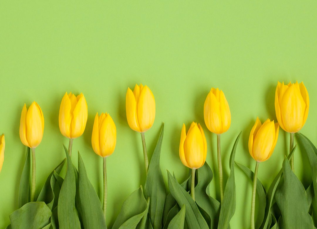 content marketing guidelines for b2b companies
